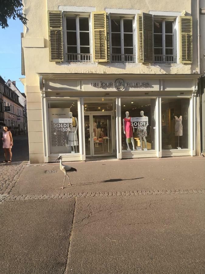 Les Clefs De La Liberte Apartment Colmar Exterior foto